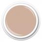 Mobile Preview: Colour FG-222  Nude Salted Caramel 5g