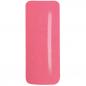 Preview: Color FG-310 Dessert Flower 5g Preview: Color FG-310 Dessert Flower 5g