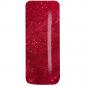 Preview: Color Gel Set Herbst / Winter 2026 mit  6 x 5g
