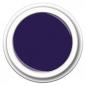Preview: Color Gel FG-339 Midnight Plum 5g - Pflaumenviolett