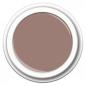 Preview: Color Gel FG-341 Cashmere Nude 5g