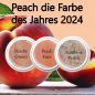 Preview: Farbe des Jahres Colorgel Peach Set mit 3x 5g 