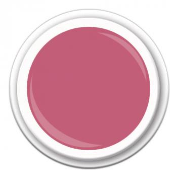 Colour FG-177  Fruit Pink  5g