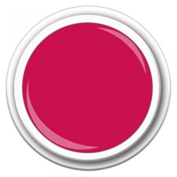Color FG-228  French Rose  5g  2022