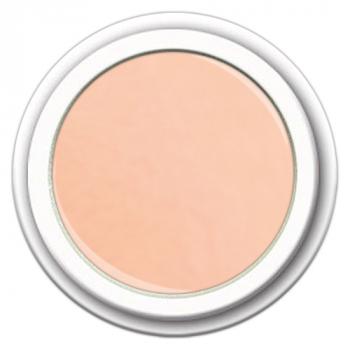 Colour FG-331 Pastelo Bare Bilss   5g