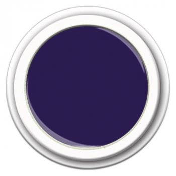 Color Gel FG-339 Midnight Plum 5g - Pflaumenviolett