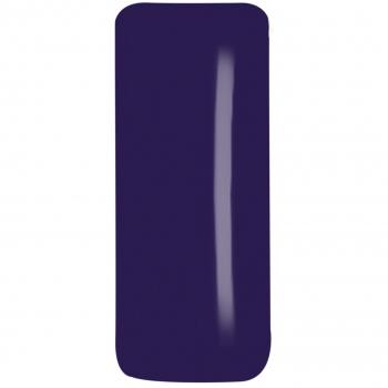 Preview: Color Gel FG-339 Midnight Plum 5g - Pflaumenviolett