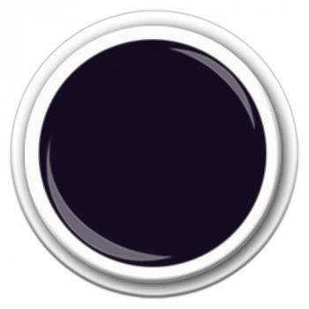 Colour FG-40 Dark Violett 5g