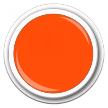 Colour FG-61 Neon Orange 5g