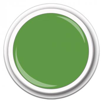 Color Apple Green
