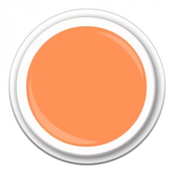 SPEED COLOR FINISH Neon Pastell Orange Twist  CF-28 5g