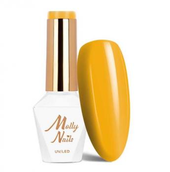 Molly Nails Fancy Fashion Sunrush 8g Nr 336