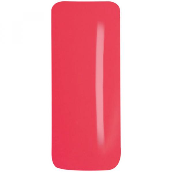 Color FG-309  Blush Beauty   5g