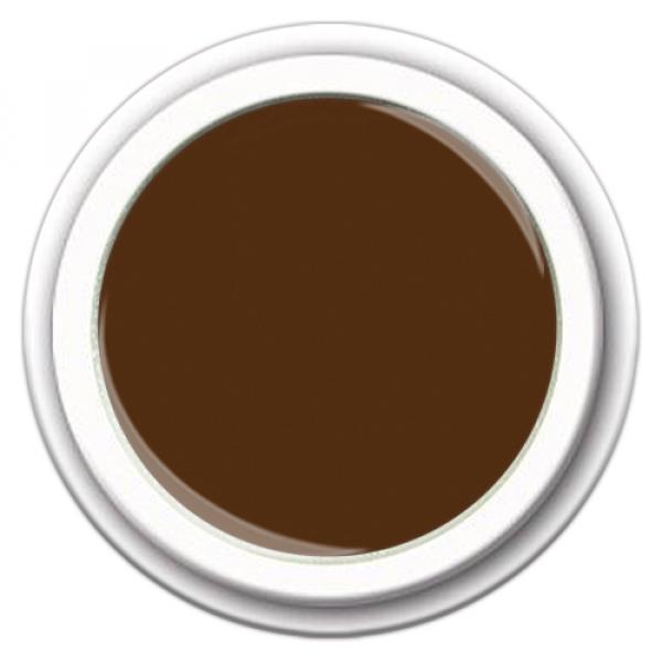Colour FG-336 Hot Chocolate     5g