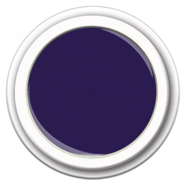 Color Gel FG-339 Midnight Plum 5g - Pflaumenviolett