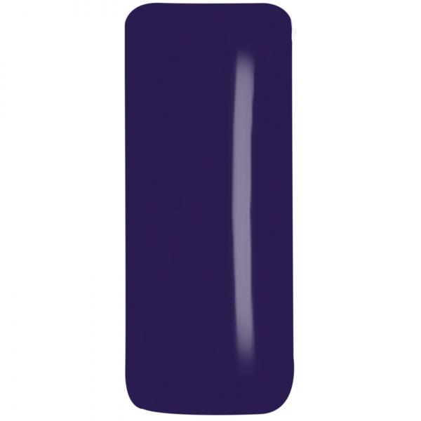 Color Gel FG-339 Midnight Plum 5g - Pflaumenviolett