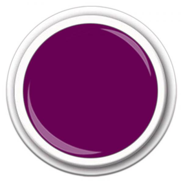 Color Violett