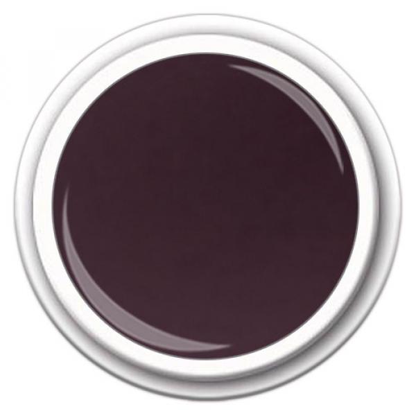 Color Vintage Plum FG 314  5g