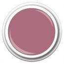 Color Taupe Plum