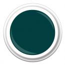 Colour FG-197 Dark Forest  5g
