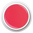 Color FG-309  Blush Beauty   5g