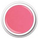 Color FG-310  Dessert Flower  5g