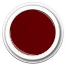 Color FG-322 Pasión Profunda   5g