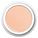 Colour FG-331 Pastelo Bare Bilss   5g