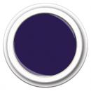 Color Gel FG-339 Midnight Plum 5g - Pflaumenviolett