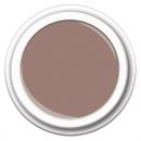 Color Gel FG-341 Cashmere Nude 5g