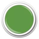 Color Apple Green