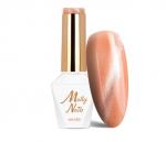 Molly Nails  Oranges Cat Eye Metallic Nr. 210  8g